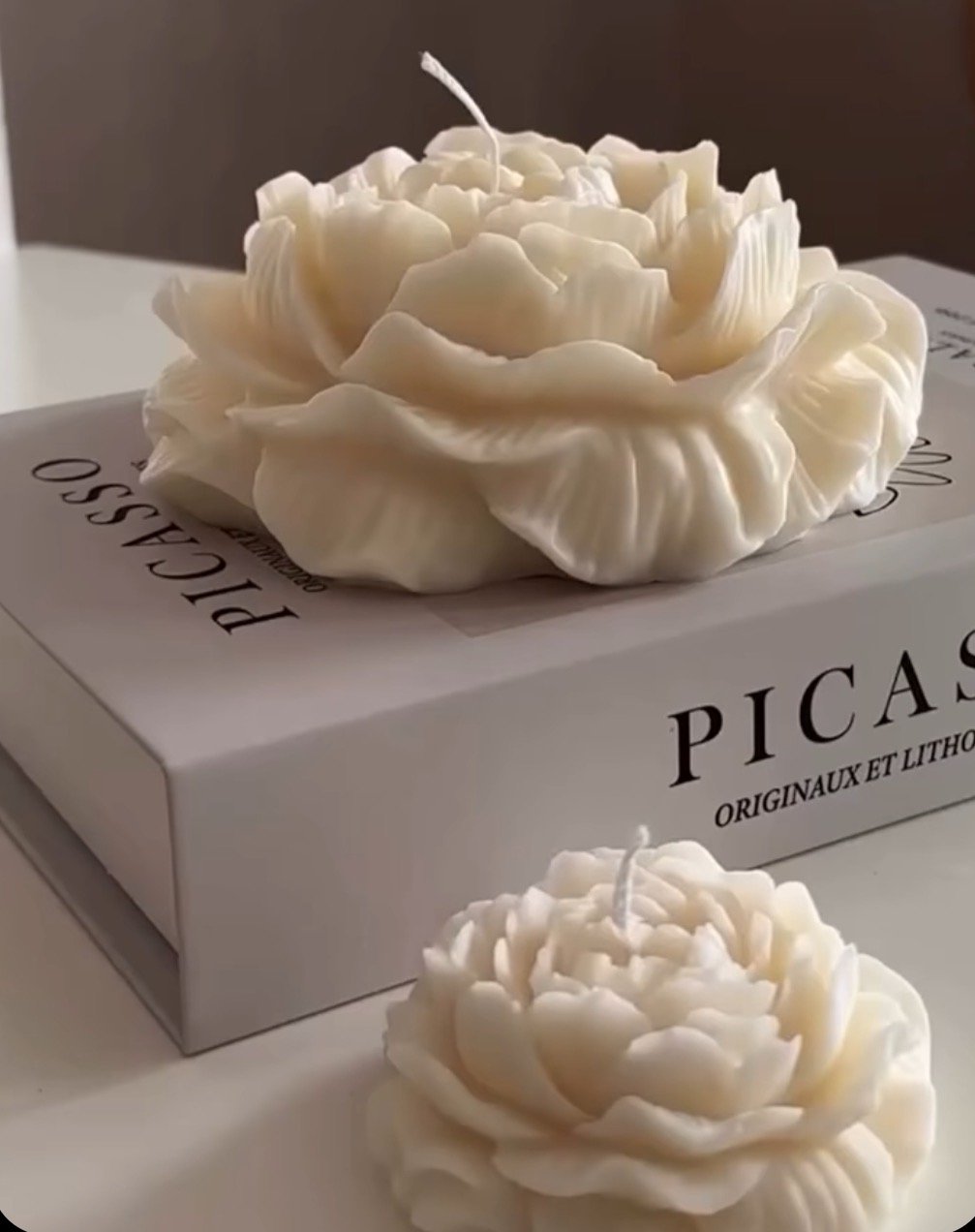 ad91828f-70d9-40e5-90ea-dd4b64cb6eb8